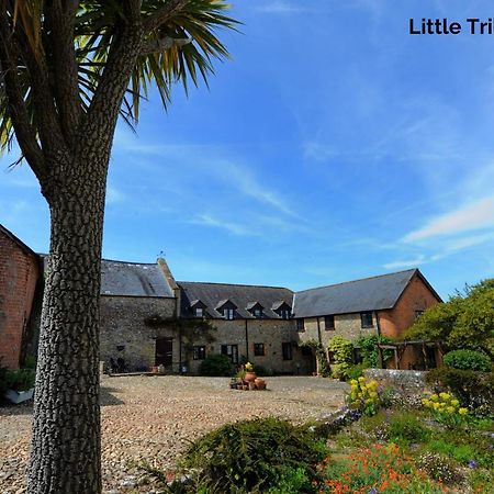 Trill Cottage Musbury Luaran gambar