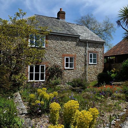 Trill Cottage Musbury Luaran gambar