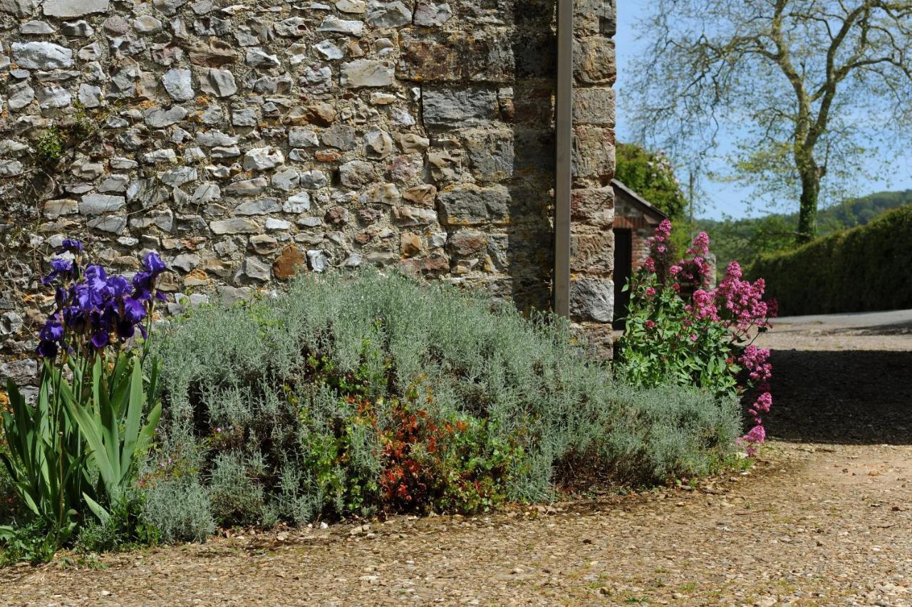 Trill Cottage Musbury Luaran gambar